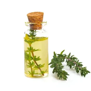 Thyme Oil