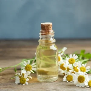 Chamomile Oil