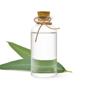 Eucalyptus Oil