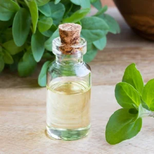 Marjoram oil