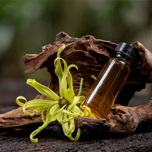Ylang Ylang oil